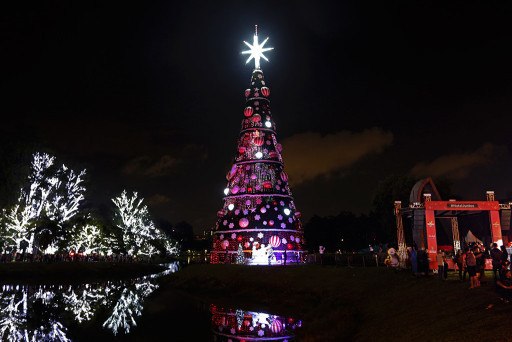 Árvore de Natal do Ibirapuera será inaugurada no sábado - Comunicação