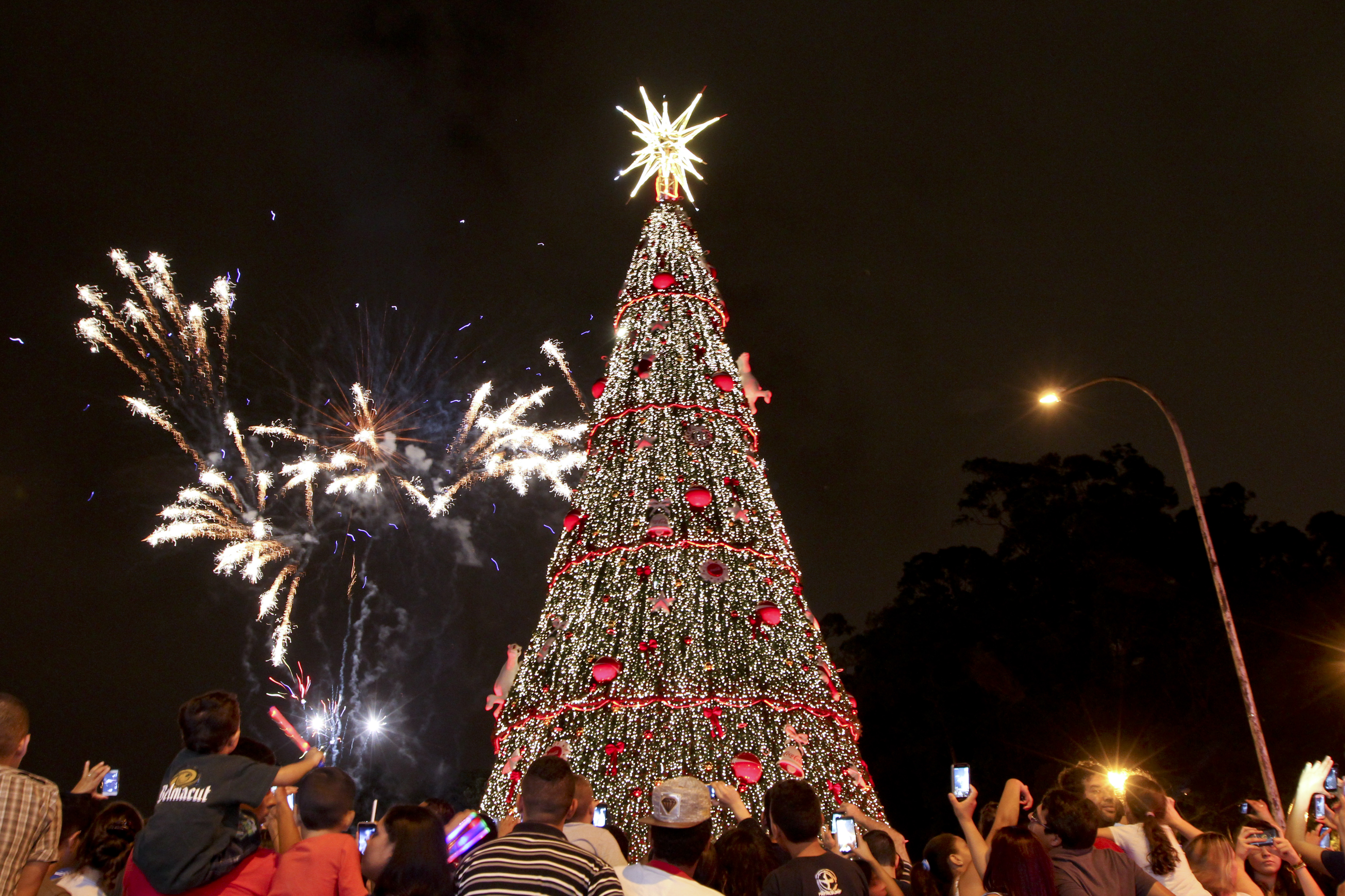 Inauguração da Árvore de Natal do Ibirapuera. Foto: José Cordeiro/SPTuris