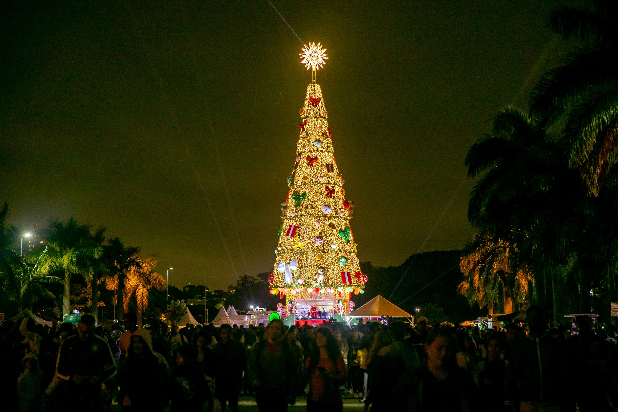 Parque Villa Lobos recebe Árvore de Natal de 52 metros - Comunicação